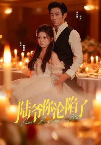 Falling for Mr. Lu poster