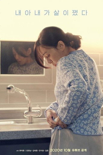 My Wife has Gained Weight poster