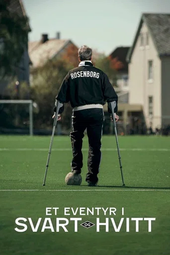 Movie poster for Et eventyr i svart og hvitt (2017)