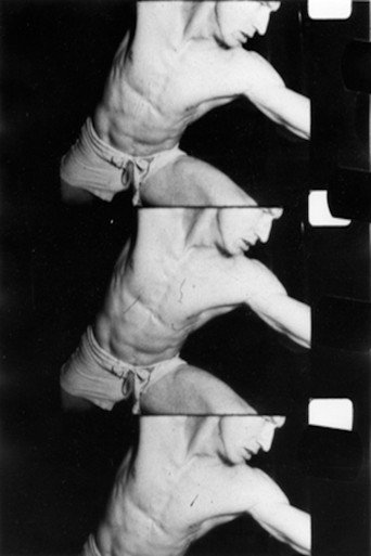 Movie poster for The Gymnasts (1961)
