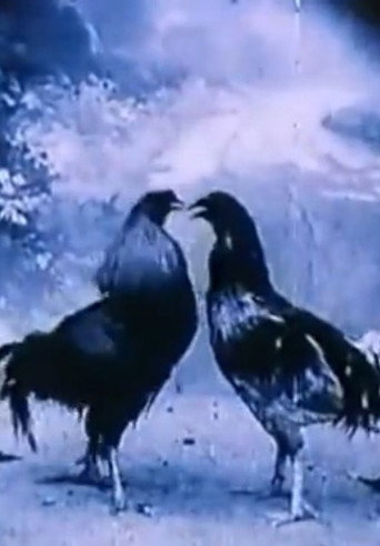 Movie poster for Criminal Animals (1994)
