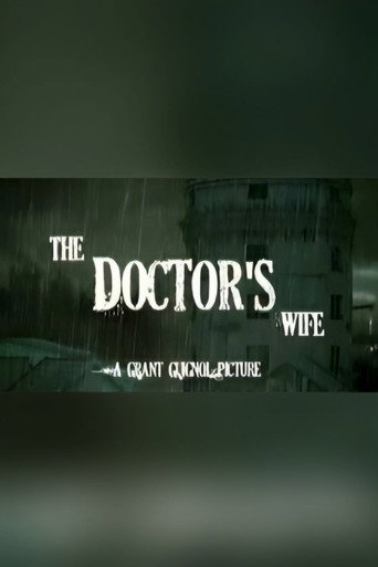 Movie poster for The Doctor's Wife (2011)