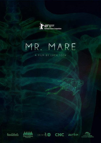 Movie poster for Mr. Mare (2019)