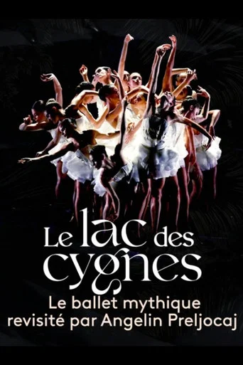 Movie poster for Le lac des cygnes au théâtre national de Chaillot (2022)