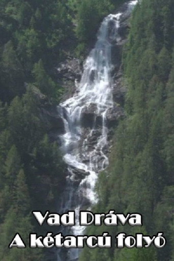 Movie poster for Vad Dráva - A kétarcú folyó (2022)