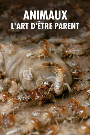 Series poster for Wilde Eltern (2024)