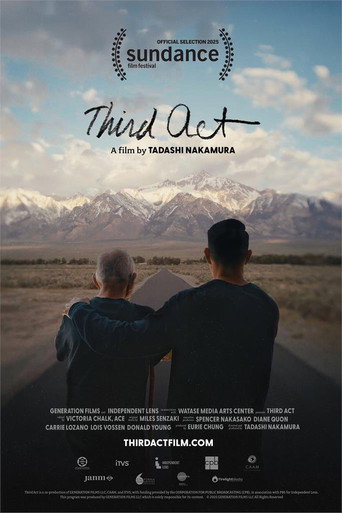 Movie poster for Third Act (2025)