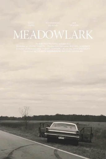 Movie poster for Meadowlark (2019)