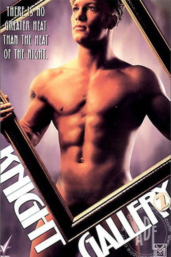 Movie poster for Knight Gallery 2 (1995)