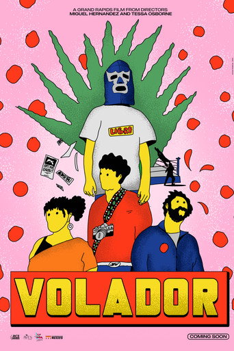 Movie poster for Volador (2024)