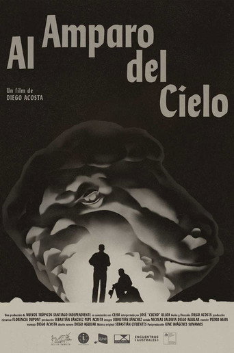 Movie poster for Under the Sky Shelter (2022)
