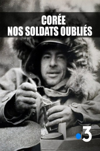 Movie poster for Corée, nos soldats oubliés (2015)