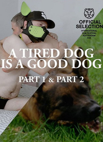 Movie poster for A Tired Dog is a Good Dog Parts 1 & 2 (2025)