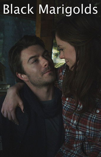 Black Marigolds poster