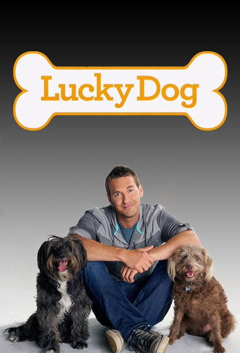 Series poster for Lucky Dog (2013)