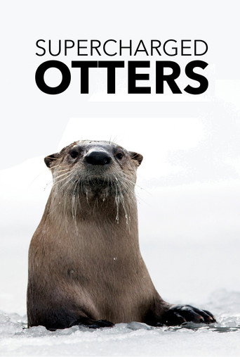 Movie poster for Supercharged Otters (2017)