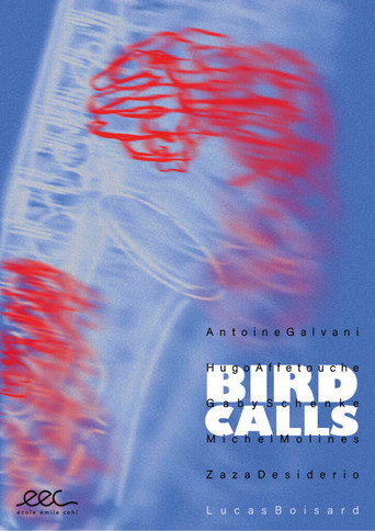 Movie poster for Bird Calls (2025)