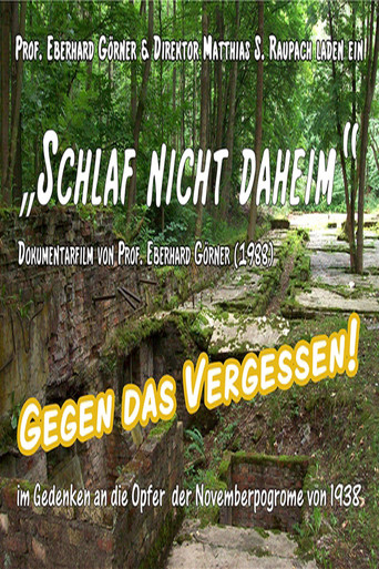Schlaf nicht Daheim poster