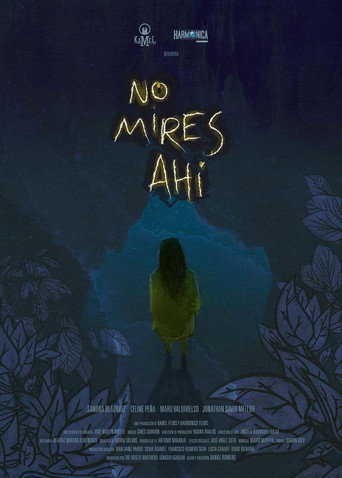 Movie poster for No mires ahí (2013)