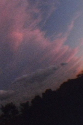 Movie poster for Brilliant Garden (1995)