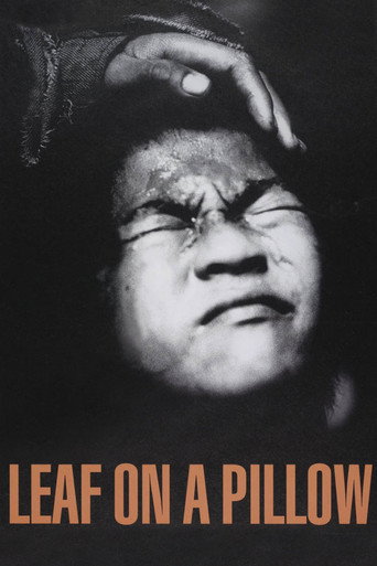 Leaf on a Pillow poster