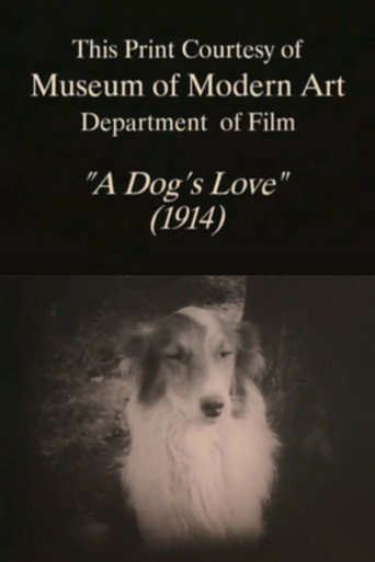 Movie poster for A Dog's Love (1914)