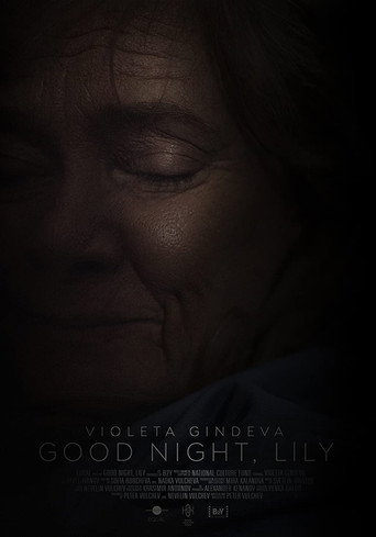 Movie poster for Good Night, Lily (2021)