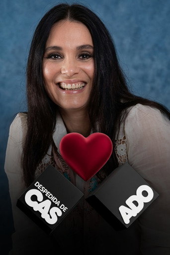 Series poster for Despedida de Casado