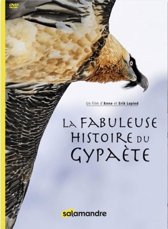 Movie poster for The Fabulous History of the Bearded Vulture (2018)