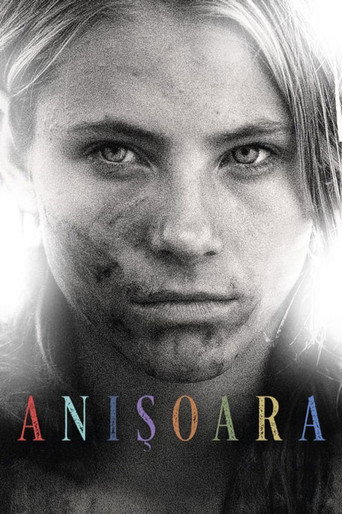 Movie poster for Anishoara (2016)
