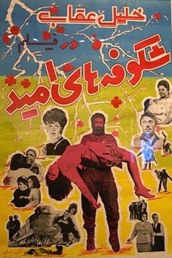 Movie poster for Blossoms of Hope (1965)