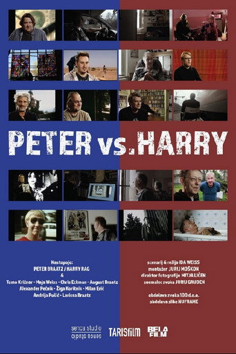 Movie poster for Peter vs. Harry (2018)