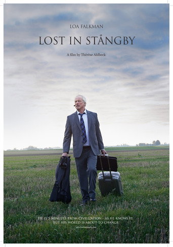 Lost in Stångby poster