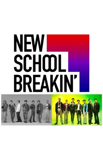 New School Breakin poster
