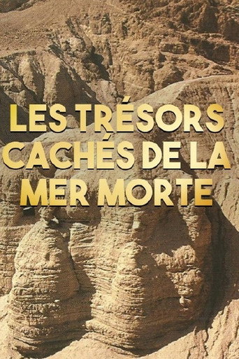 Movie poster for Les trésors cachés de la Mer Morte (2016)