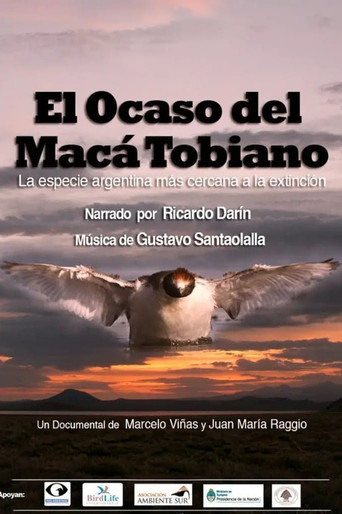Movie poster for El Ocaso del Macá Tobiano (2012)