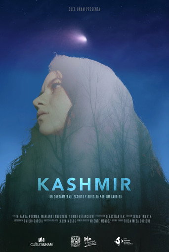 Movie poster for Kashmir (2018)