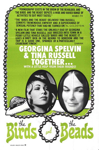 Movie poster for The Birds and the Beads (1973)