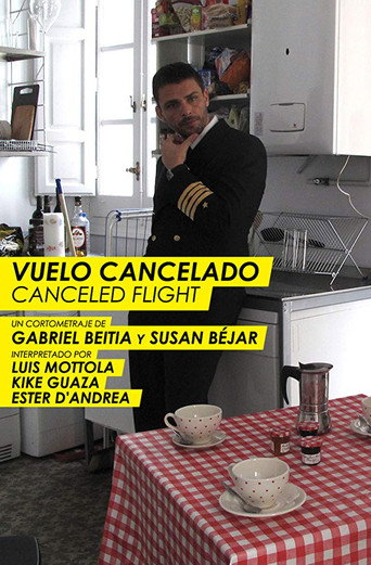 Movie poster for Canceled Flight (2011)