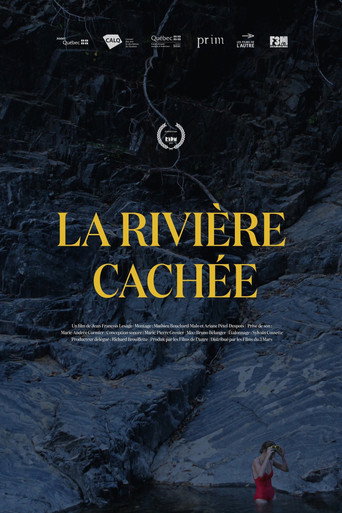Movie poster for The Hidden River (2017)