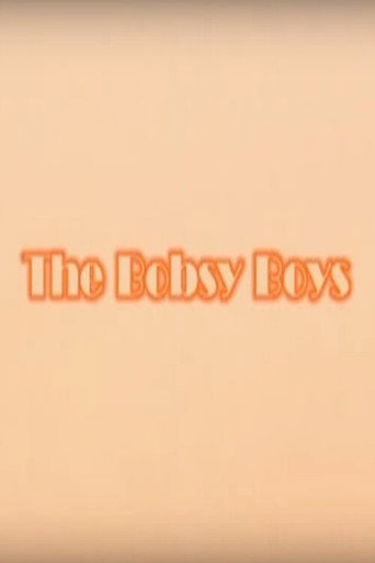 Movie poster for The Bobsy Boys (2004)