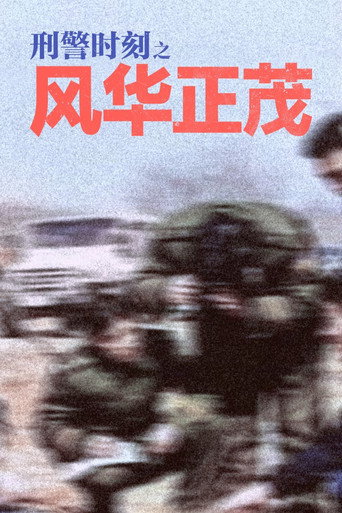 刑警时刻之风华正茂 poster