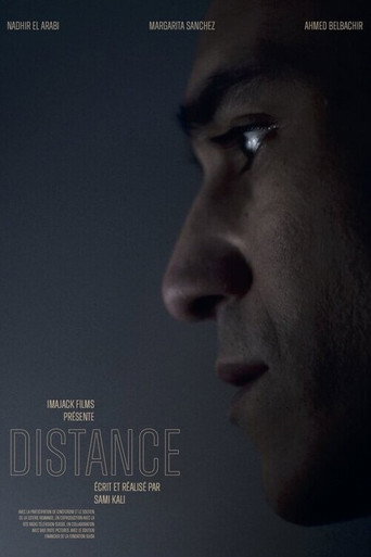 Movie poster for Distance
