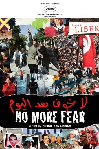 Movie poster for No More Fear (2011)