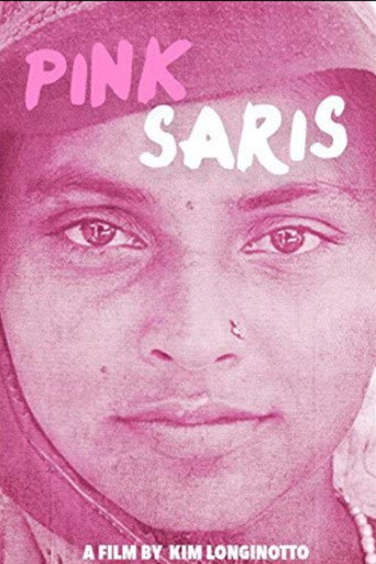 Movie poster for Pink Saris (2010)