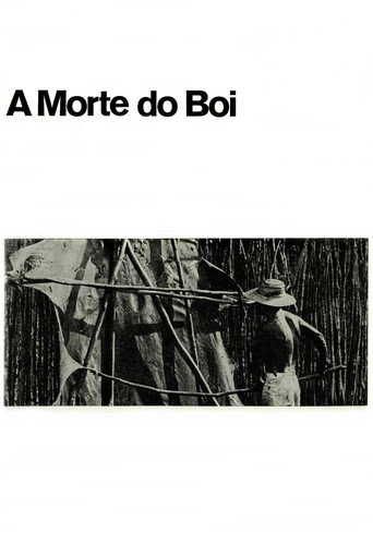 Movie poster for A Morte do Boi (1970)