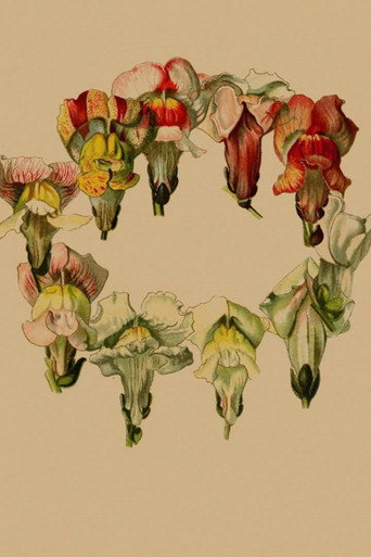 Movie poster for Stories In Place: Plante. (2020)
