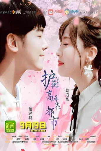 Series poster for 护花高手在都市