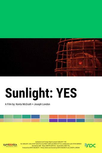 Sunlight: YES poster