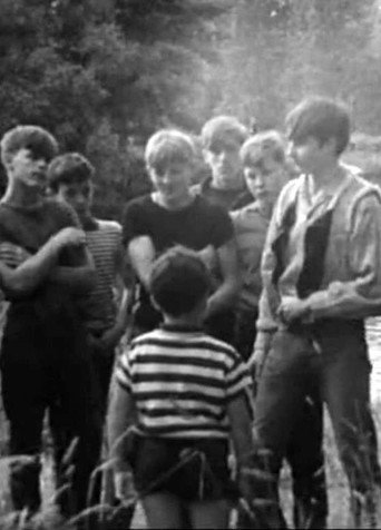 La bande des Ayacks poster